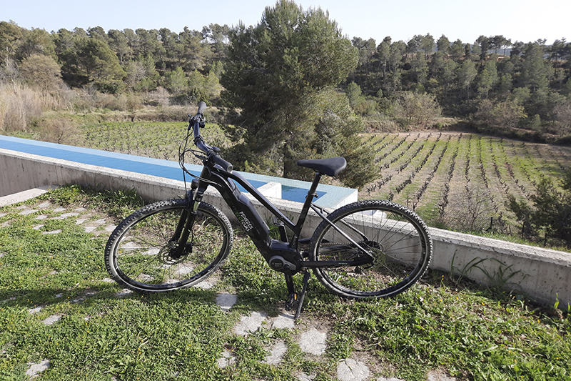 bicicleta bicicleta